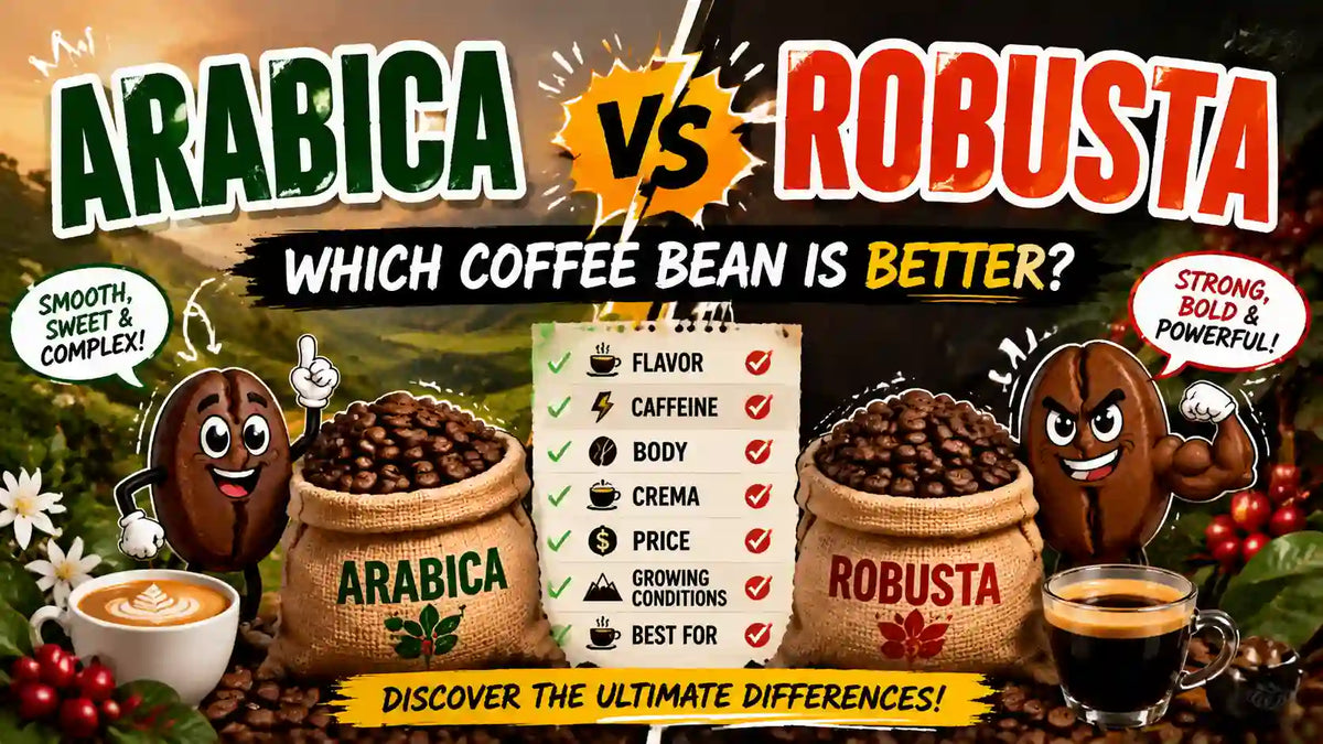 Comparison Between Arabica Bean and Robusta Bean