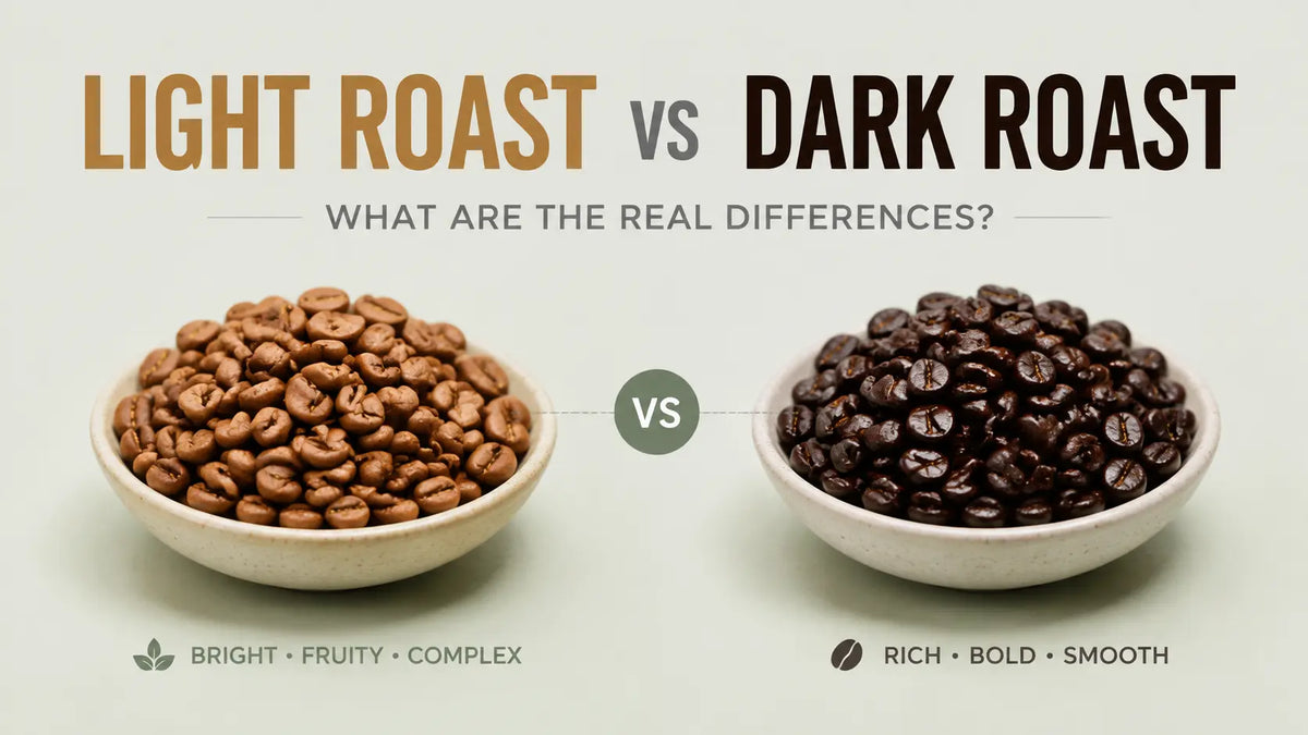 Light roast vs dark roast coffee beans comparison
